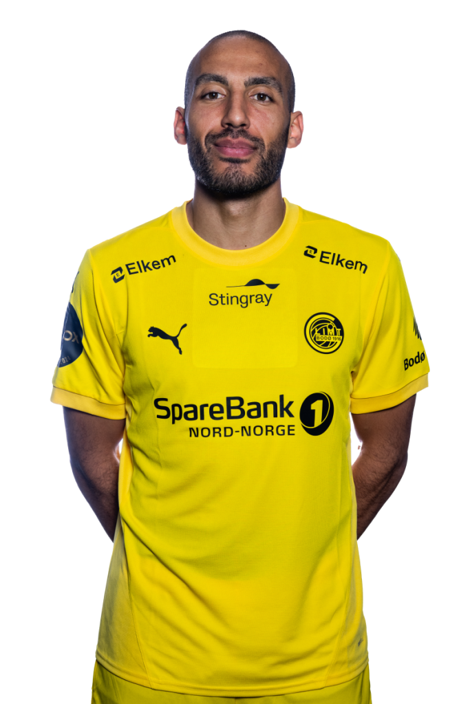 缩略图–海塔姆·阿利萨米–博德闪耀中文站